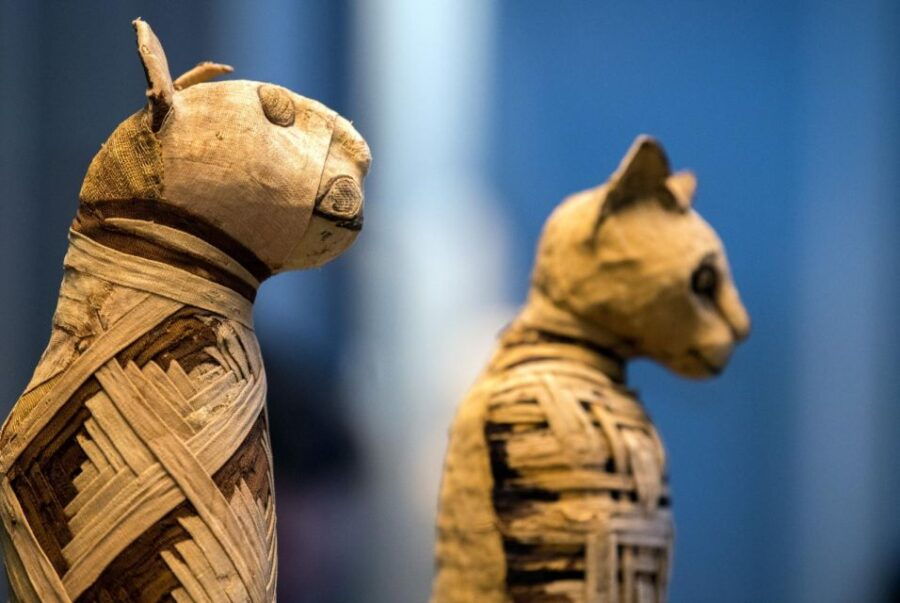 Hurghada: Cairo & Luxor Highlights Ancient History Package - Good To Know