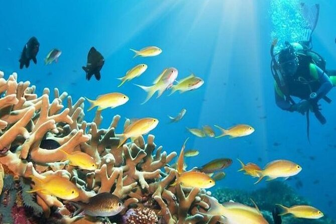 Hurghada: Dive Into the Red Sea With Submarine Exploration