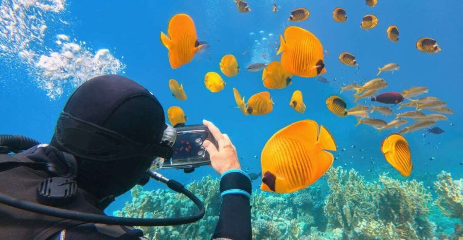 Hurghada Diving Snorkeling Cruise Tour W Lunch Drinks