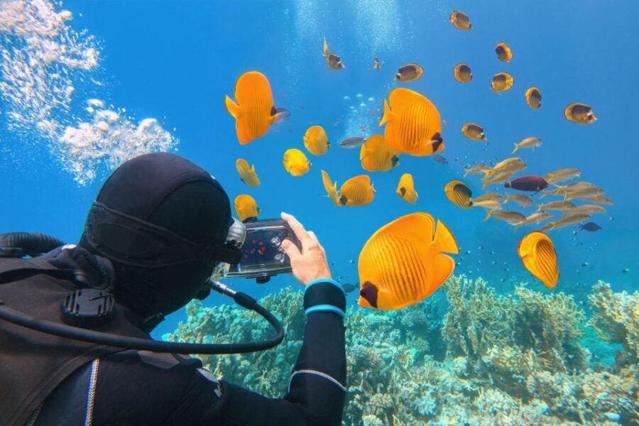 Hurghada: Diving & Snorkeling Cruise Tour W Lunch & Drinks - Booking Details