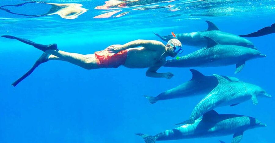 Hurghada: Dolphin Cruise & Snorkeling With City Tour & Lunch - Good To Know