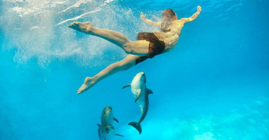 Hurghada: Dolphin House Snorkeling Trip With Water Sports - Good To Know