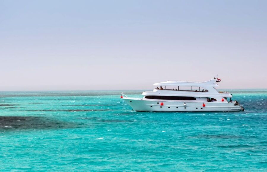 Hurghada: Dolphin Watching Boat Tour With Snorkeling & Lunch - Good To Know