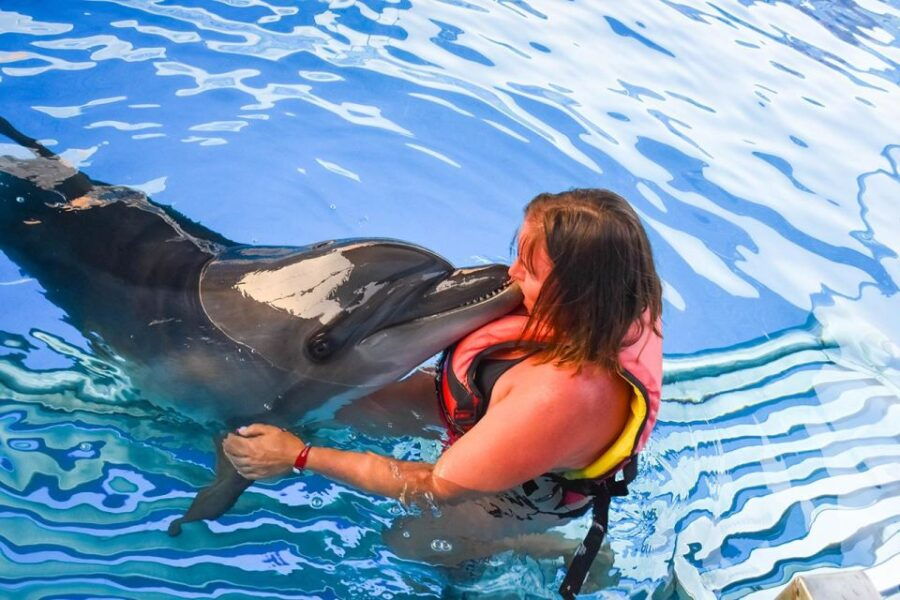 Hurghada: Dolphin World Family Swimming With Pickup - Good To Know