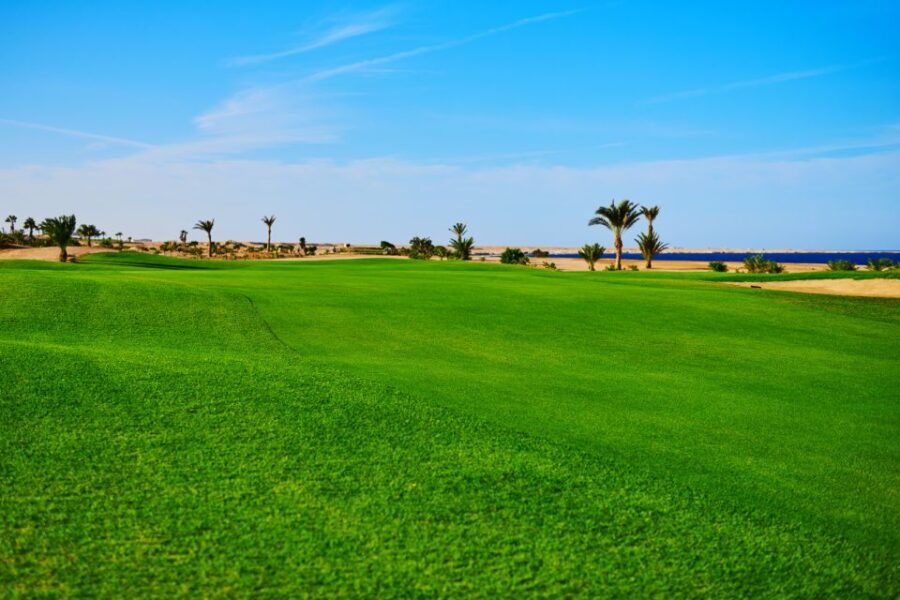 Hurghada: Golfing at the Madinat Makadi Golf Resort