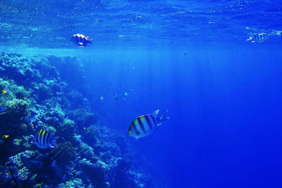 Hurghada: Orange Bay Private Yacht Cruise for Small Group - Good To Know