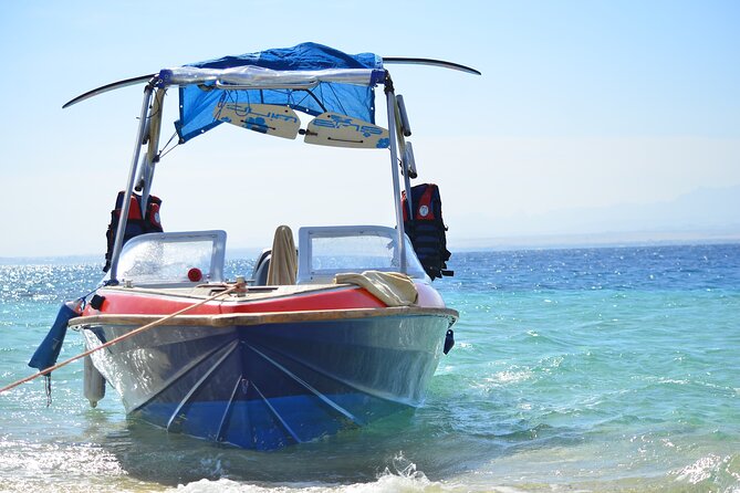 Hurghada Private Speedboat Dolphin Tour (Feb ) - Good To Know