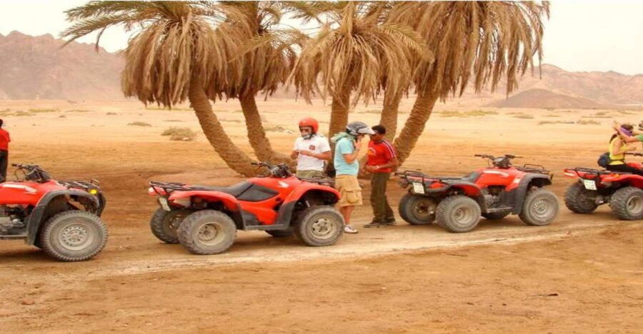 Hurghada: Quad Desert Safari With Camel Ride and Transfer - Review Summary