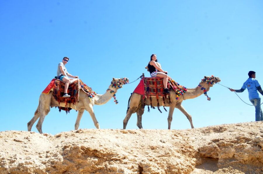 Hurghada: Sea & Desert Camel Ride W/Dinner, Show, Stargazing - Good To Know