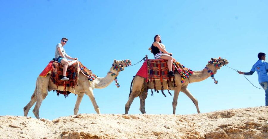 Hurghada: Sea & Desert Camel Ride W/Dinner, Show, Stargazing - Good To Know