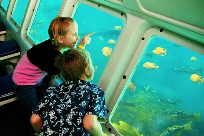 Hurghada Semi-Submarine Trip - Good To Know