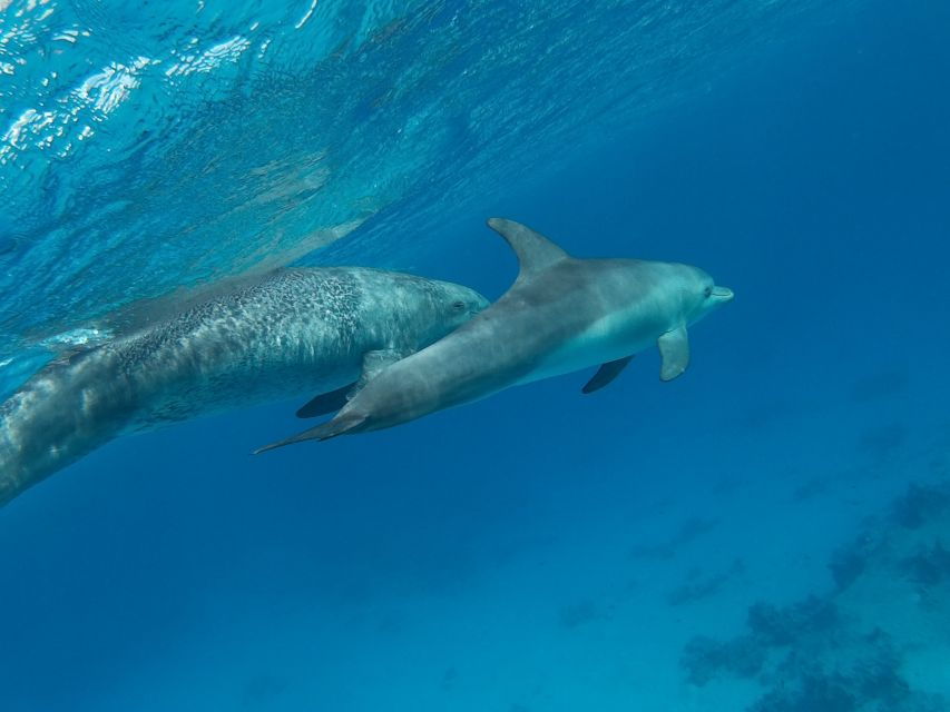 Hurghada: Snorkeling 6-in-1 Yacht Trip to Orange Bay & Lunch - Good To Know