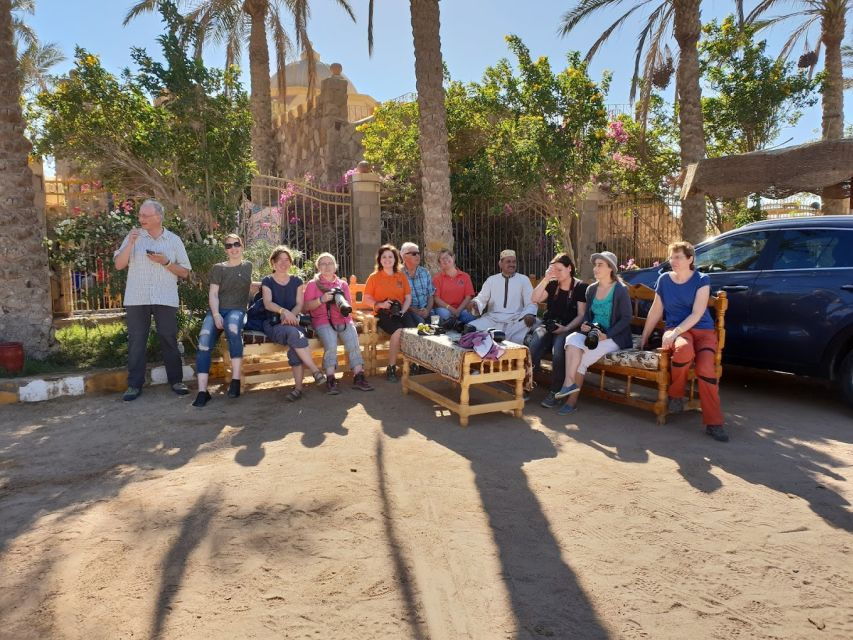 Hurghada: Stargazing by ATV, Camel, Horse, Dinner & Show - Good To Know