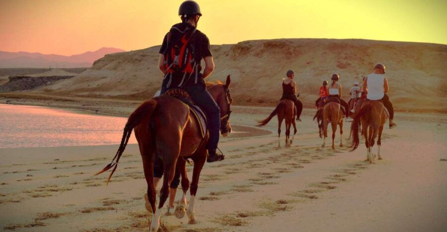 Hurghada: Sunset Sea, Desert Horse W Opt, Dinner, Stargazing - Good To Know