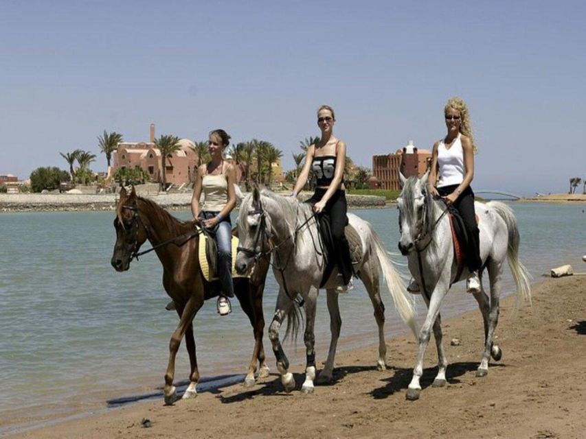 Hurghada : Two Hours Sun & Sea Horse Riding With Transfers - Good To Know