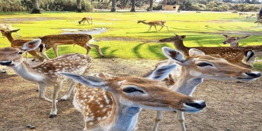 Hurghada:10-Day Egypt Tour, Nile Cruise, Balloon, Flights - Good To Know