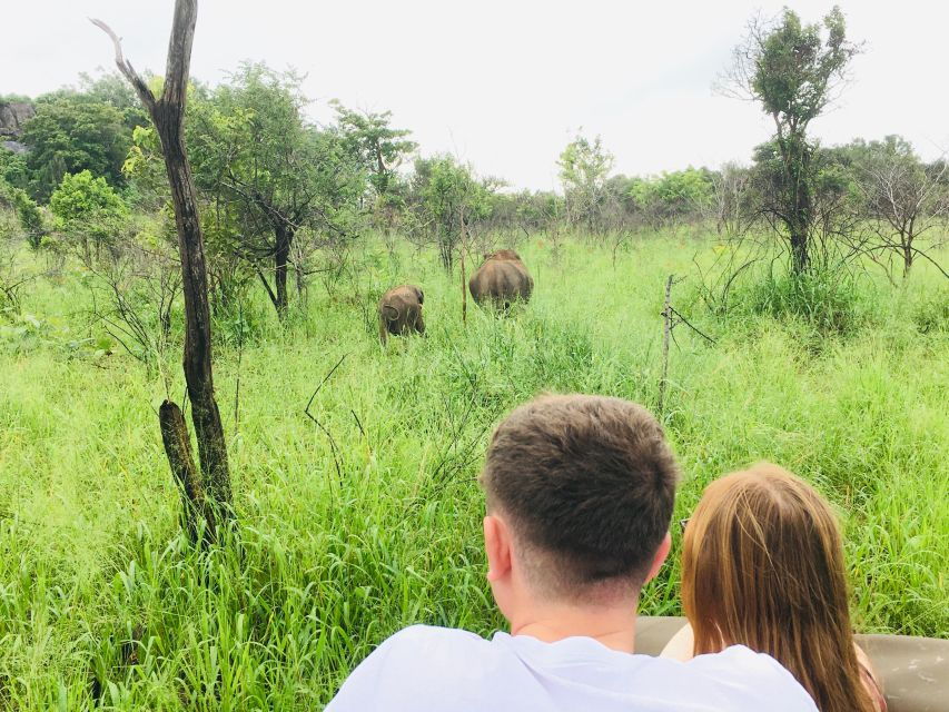 Hurulu National Park Safari Minneriya - Good To Know