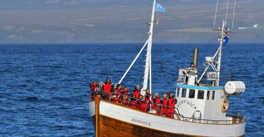 Húsavík: Whale Watching Boat Tour - Good To Know