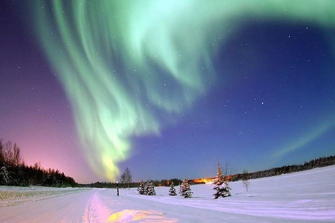 Husky Dogsledding and Northern Lights Excursion - Rovaniemi - Good To Know