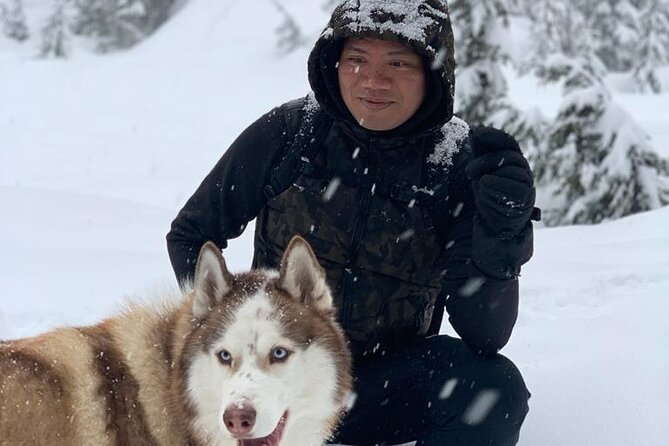 Husky Hikes Private Mountain Tours