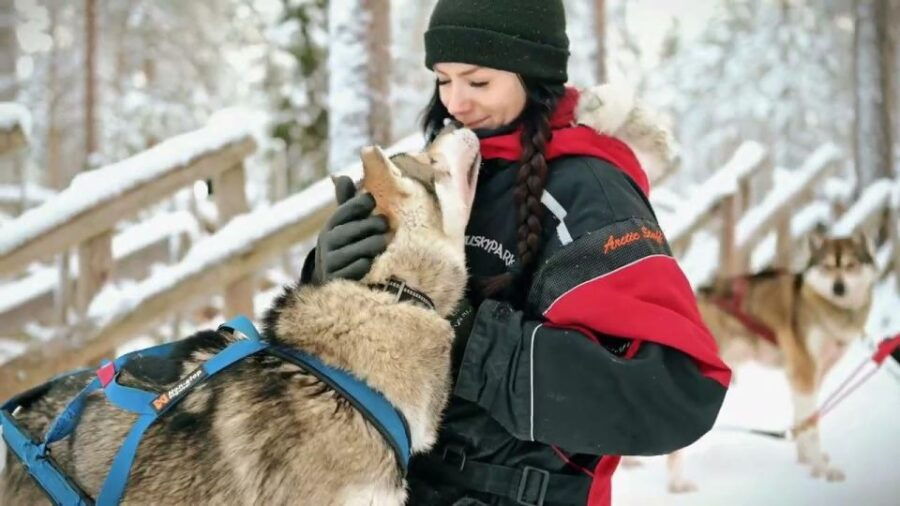 Husky Safari 1 Hour (10 Km) Small-Group Mushing Experience - Good To Know