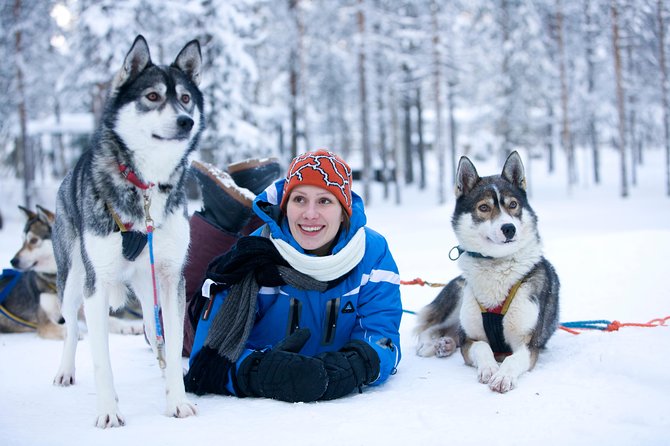 Husky Safari From Rovaniemi Including a Husky Sled Ride - Good To Know