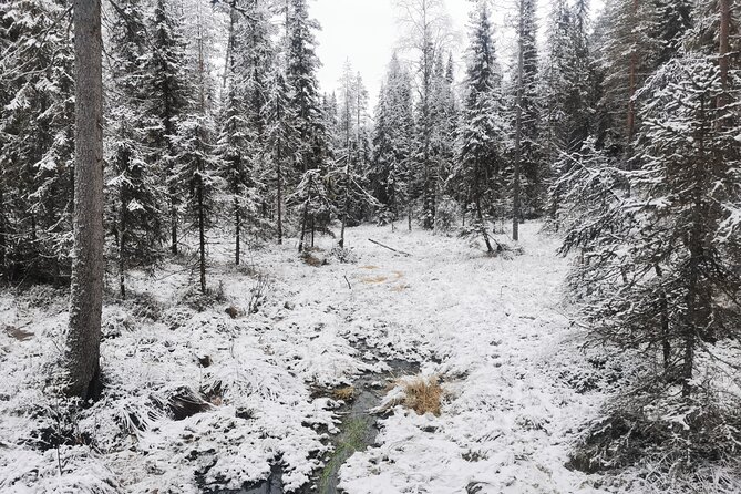 Ice Waterfall Tour in Korouoma - Good To Know