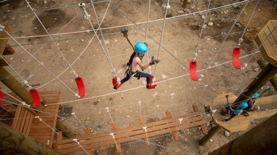 Idaho Springs: SkyTrek Aerial Challenge Course Ticket