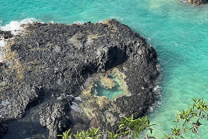 ILHA TOUR Complete TOUR in Fernando De Noronha - Good To Know
