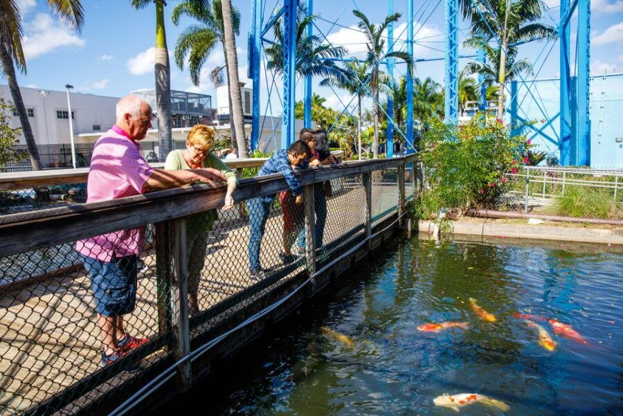 IMAG History & Science Center: Skip-the-Line Ticket - Good To Know