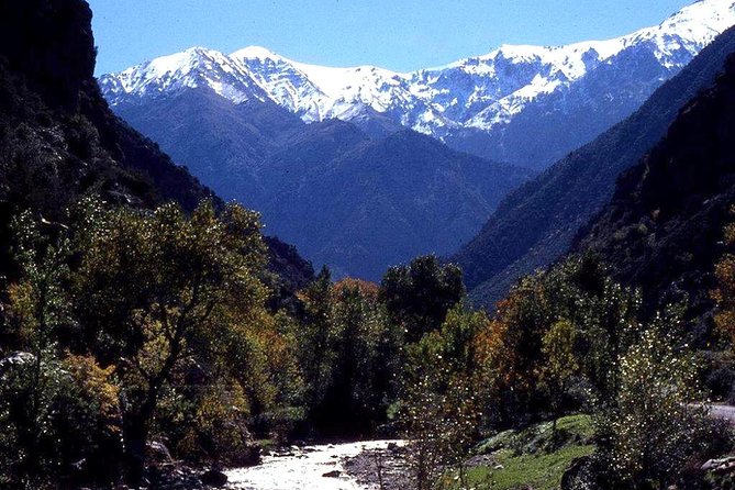 Imlil and Kasbah Du Toubkal Day Tour From Marrakech - Tour Highlights