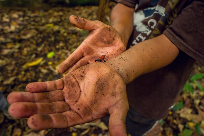 Immerse in Maleku Indigenous Culture: Reserve Tour