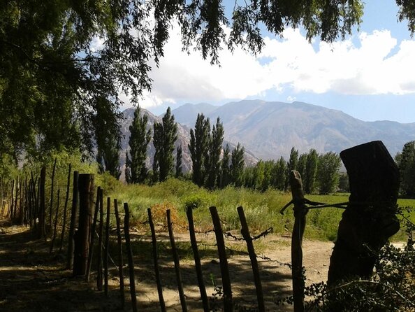 Inca Lagoon in Andes Mountain Range - Visit Local Vineyard With Tasting Included - Good To Know