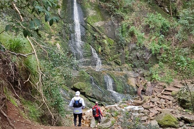 Incredible Table Mountain Guided Day Hike or Trail Run - What to Expect on the Table Mountain Guided Day Hike or Trail Run