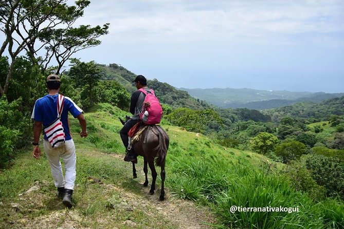 Indigenous Community Kogui Uldezhaxa Spend 1 Day on a Trompito - Good To Know