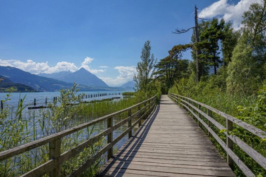 Interlaken: Capture the Most Instaworthy Spots With a Local