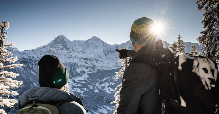 Interlaken: Winter Alpine Adventure – Snowshoe and Sledding