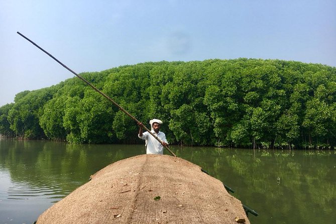 Into the Mangroves: Calicut Mangrove Trail by Tyndis - Good To Know