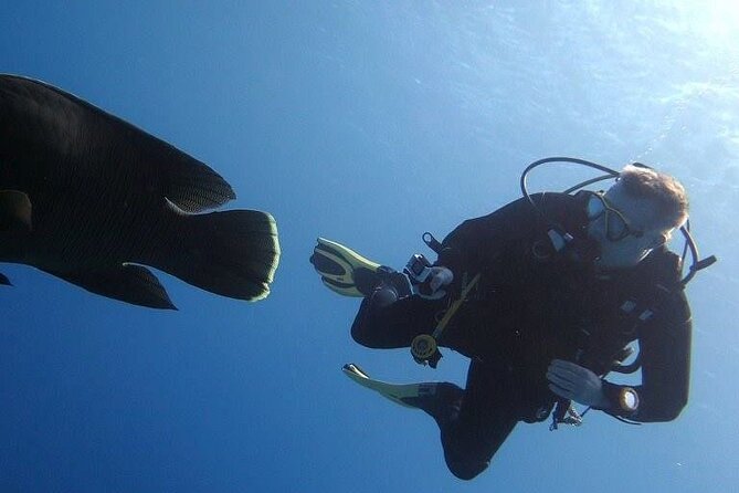 Intro Diving 2 Stops for Beginners With Lunch - Hurghada - Good To Know