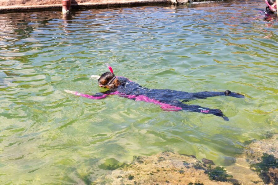 Irukandji Entry Pass & Reef Shark Snorkel (12)