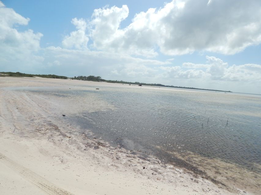 Isla Blanca: 4-Hour Private Expedition Bike & Boat Tour - Tour Highlights