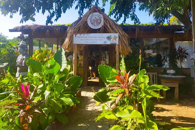 Island Adventure: Roatan Wildlife, Snorkeling, Beach Tour