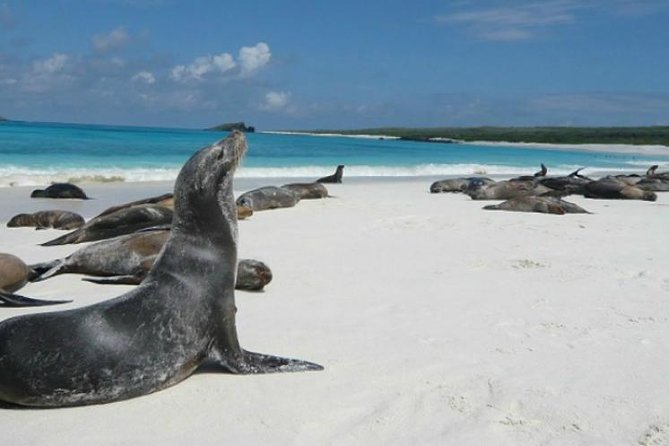 Island Adventure: Thrilling Lobos Tour Awaits