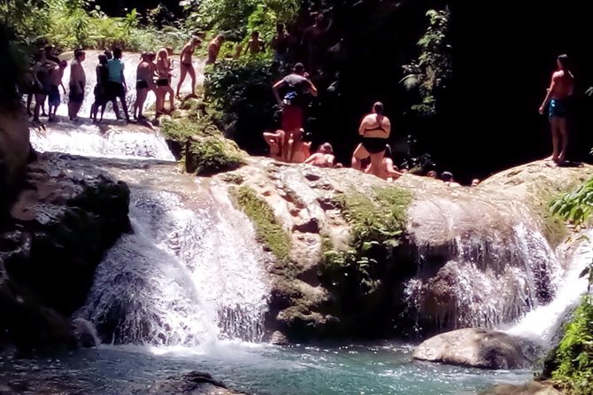 Island Gully Falls And Columbus Park Day Adventure - Tour Highlights
