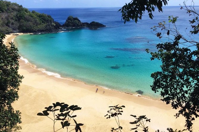 Island Tour in Fernando De Noronha - Tour Duration and Admission