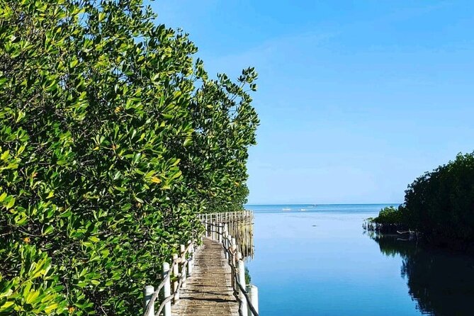 Island Vistas: Bantayan Island Land Tour