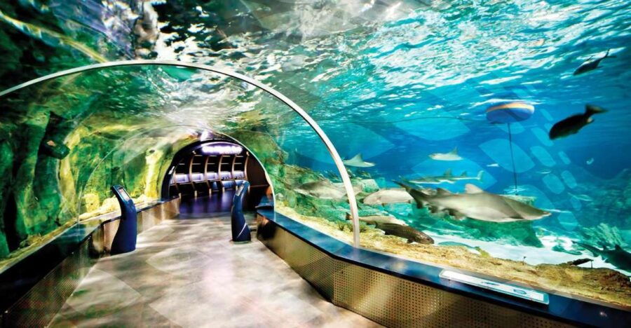 Istanbul Aquarium and Aqua Florya Shopping Mall Tour - Experience Highlights