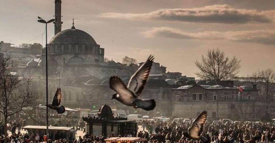 Istanbul: Full-Day Private Guided Tour - Good To Know