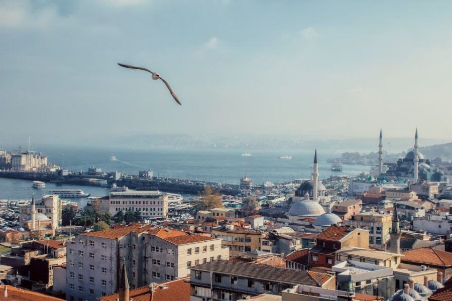 Istanbul: Full Day Private Tour ( Car&Guide ) - Good To Know