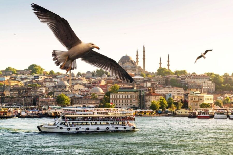 Istanbul: True Discovery Full-Day Tour and Cruise - Good To Know
